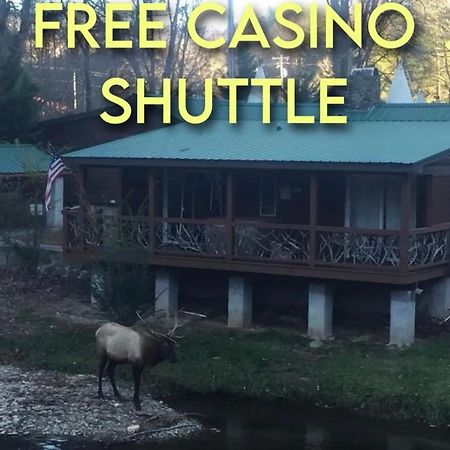 Qualla Cabins And Motel Cherokee Near Casino Whittier Exterior photo