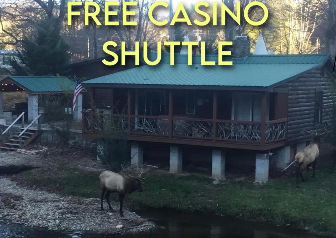 Qualla Cabins And Motel Cherokee Near Casino Whittier Exterior photo